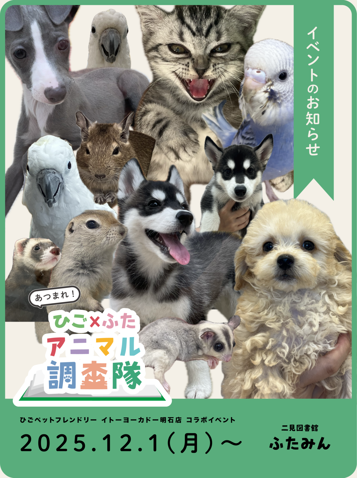 あつまれ!ひご×ふたアニマル調査隊のお知らせ